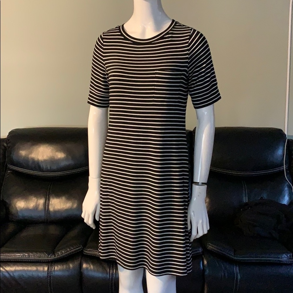 Calvin Klein stripe shift dress